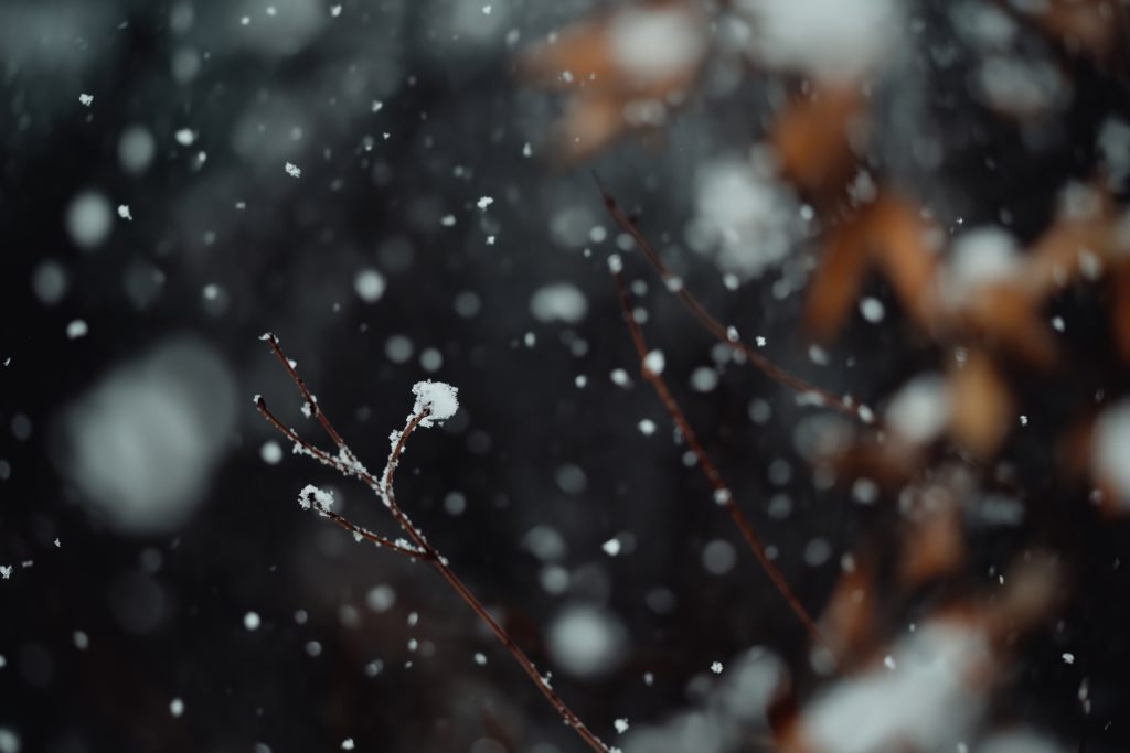 Snöfall